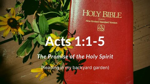 ACTS 1:1-5 (The Promise of the Holy Spirit)