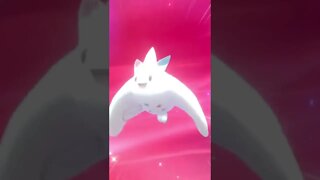 Pokémon Sword - Evolving Togetic Into Togekiss Using SHINY STONE