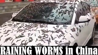 RAINING WORMS in China