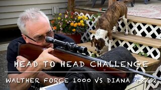 Head to head challenge! Walther force 1000 vs Diana 48/52 springer showdown! JSB heavies