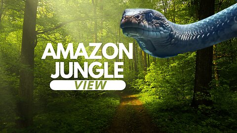 amazon jungle view
