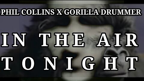 🎵 PHIL COLLINS X GORILLA DRUMMER - IN THE AIR TONIGHT (LYRICS)
