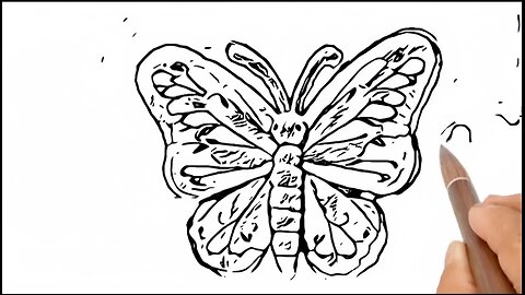 Wonderful Butterfly drawing