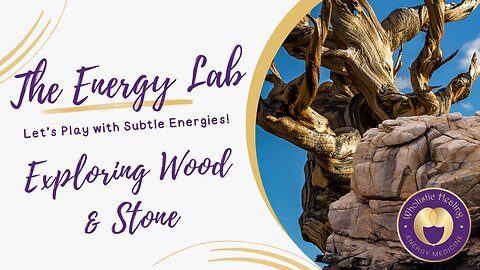 The Energy Lab - Exploring Subtle Wood & Stone