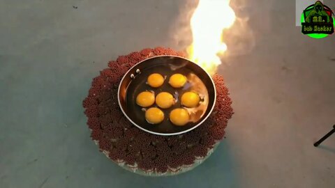 eggs experimens '' egg burning experimen '' omelet Experiment''