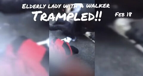 Elderly Woman Trampled By Canadian Police On Horses
