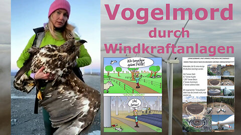 🐦 Vogelmord durch Windkraftanlagen