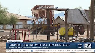 Scarce water putting strain on century-old family farmland in Casa Grande