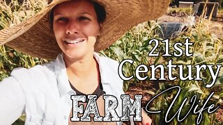 21st Century Farm Wife ~ Surviving a Drought ~ Mom Vlog