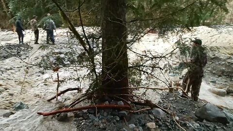 Blacktail Deer Hunting: Stranded in the bush during the BC floods