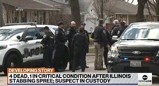 Stabbing spree leaves 4 dead in Illinois.