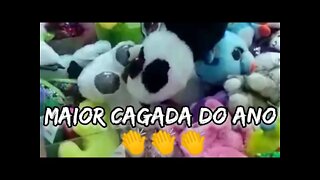 PEGANDO O FEISTY PETS PANDA 🐼, MAIOR CAGADA DO ANO 👏👏👏