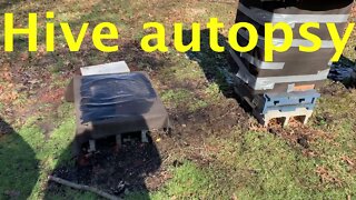 Feb 16, 2020 Bee Hive Autopsy - Dead Out Inspection