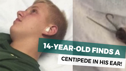 Teen Wakes Up, Realizes Something Is Very Wrong. He Reaches In His Ear, Yanks Out Nightmare