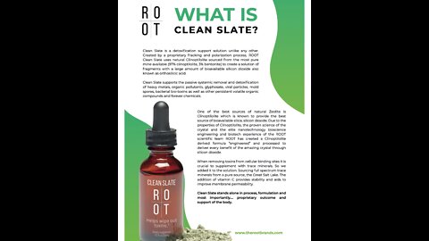 RooT Wellness Movement / Discussions with Founder of Root