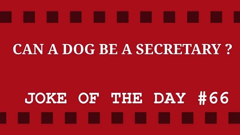 Joke Of The Day #66 - The New Secretary - A DOG !