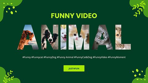 Try to not LAUGH! Funny Fail Moment - Funny Animal - Funny Cats / Funny Dogs - Funny Animal Videos