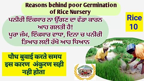 Reasons behind poor germination of Nursery! ਪਨੀਰੀ ਇੱਕ ਸਾਰ ਨਹੀ ਜੰਮਦੀ! ਚੋਬਾ ਹੋ ਜਾਂਦਾ! ਕੀ ਗਲਤੀ ਹੋਈ!