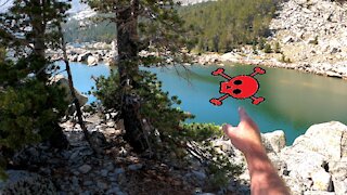 Once Fish Filled Lake Is Now Dead - Exploring the Wind River Mountains - This Lake Has Winter-Killed