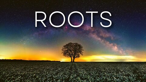 Roots – Mehul Choudhary Dance & Electronic Music [ #Free RoyaltyBackground Music]