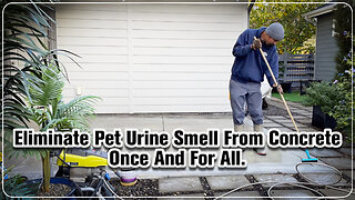 How To Remove Dog Urine Smell From Concrete