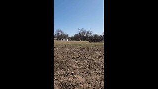 heeler speed