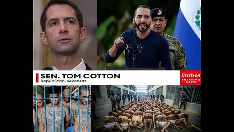 Incarceration Works - Tom Cotton Praises - El Salvador President Bukele's Crackdown On Crime