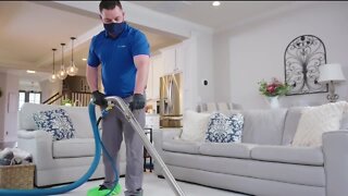 The Best Carpet Cleaning // Zerorez