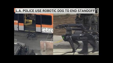 WARNING! Robot Dog Unarms Civilian! if Good Men Continue to Let Evil Triumph Then We Are All Doomed!
