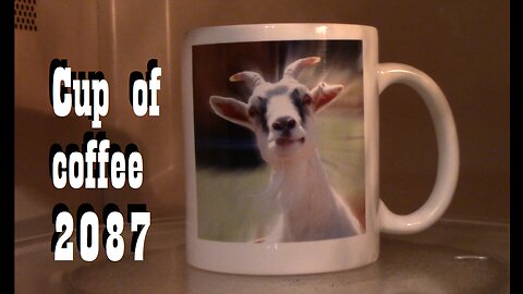 cup of coffee 2087---WTF File: Attack of the Killer Cows (*Adult Language)