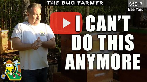 I Can't Do This Anymore | It's time to make a change. #beekeeping #bees #beecastle