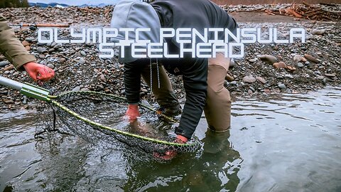 Winter Steelhead on the Olympic Peninsula