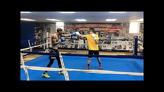 Sparring Highlights