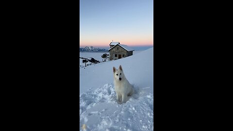 The perfect trip to the swiss queen of the mountains