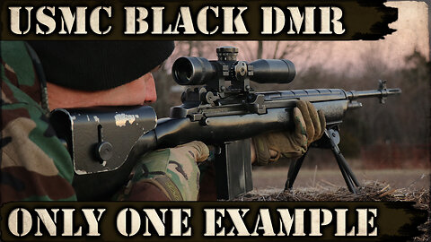 Black USMC DMR - Only one outside US military! 😮