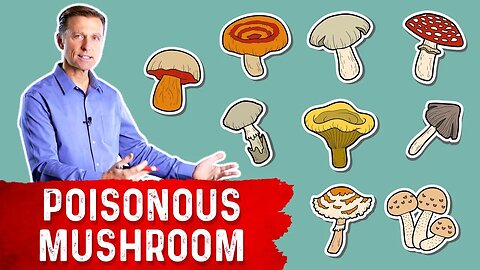 The Most Deadly Mushroom and Its Antidote