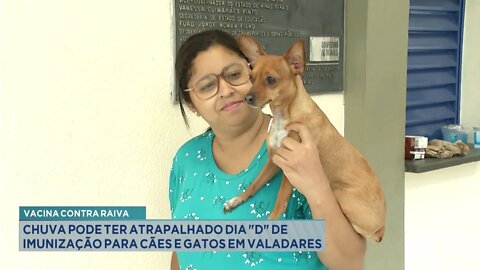 Vacina Contra Raiva: Chuva pode ter atrapalhado Dia D de Imunização para Cães e Gatos em Valadares.