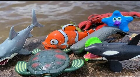 Sea animals toys this summer at the shore #kids #toys