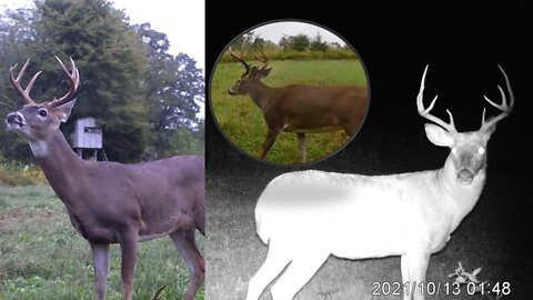 First trail cam update from Southern Illinois farm-Kapper vlog