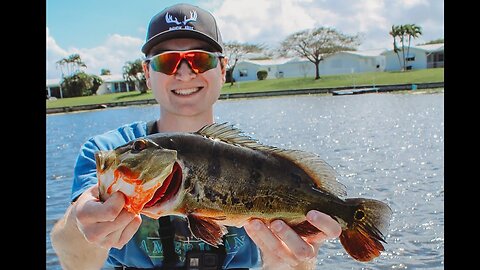 My First Peacock Bass