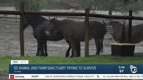 Animal sanctuary in Alpine seeks donations in hopes of not closing its doors