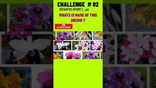 CHALLENGE # 02 |WHAT IS THE NAME OF THIS ORCHID? YOU WANT TO LEARN? #SHORT