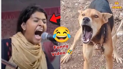 NOORAN SISTERS FUNNY VIDEO🤣