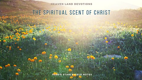 Heaven Land Devotions - The Spiritual Scent of Christ