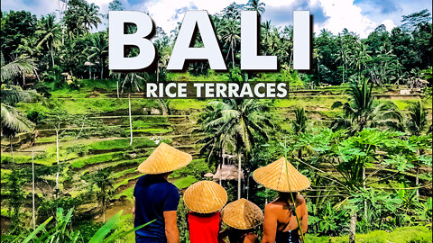 Should You See the Rice Terraces in Bali?