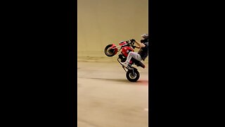 htwn wheelies