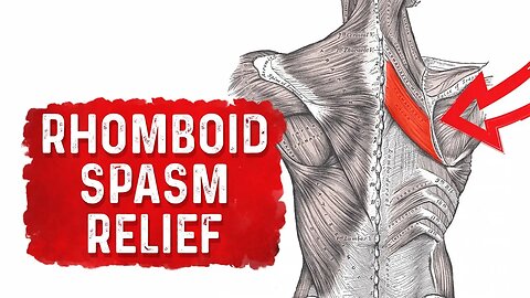Rhomboid Spasm & Pain Relief Treatment By Dr.Berg