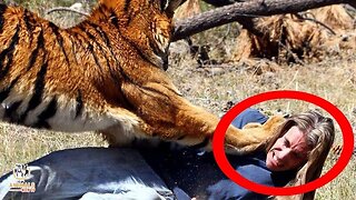 30 Scariest Animal Encounters Caught On Camera