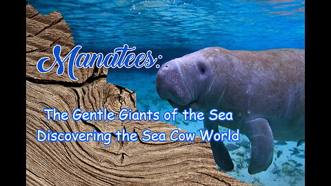Manatees:The Gentle Giants of the Sea Discovering the Sea Cow World