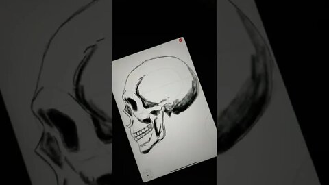 How to draw Human Skull on iPad? - Daily Art nr.138🖌️